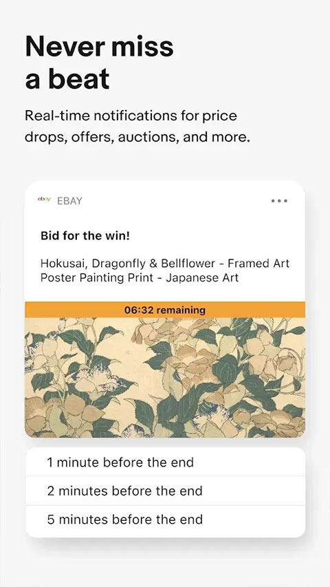 ebay跨境电商平台