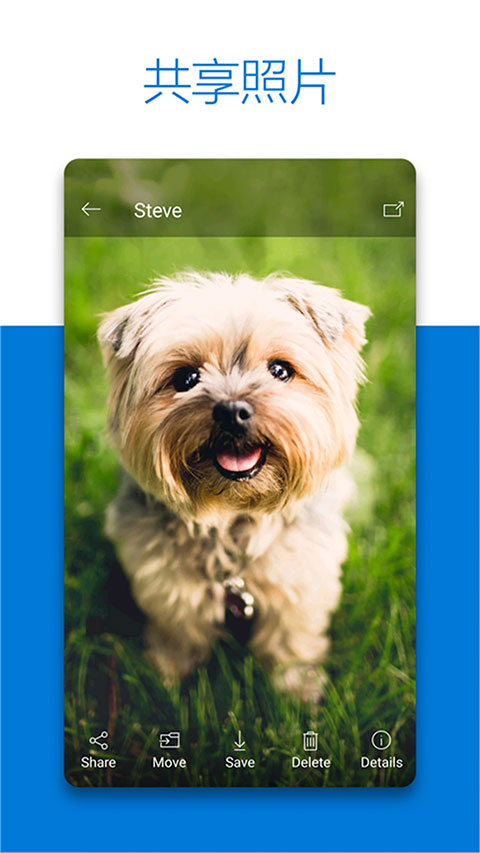 SkyDriveapp