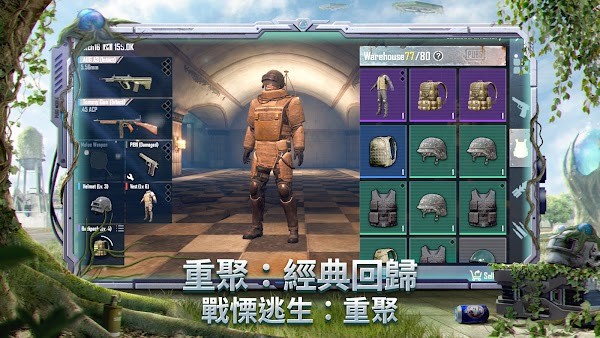 帕普及