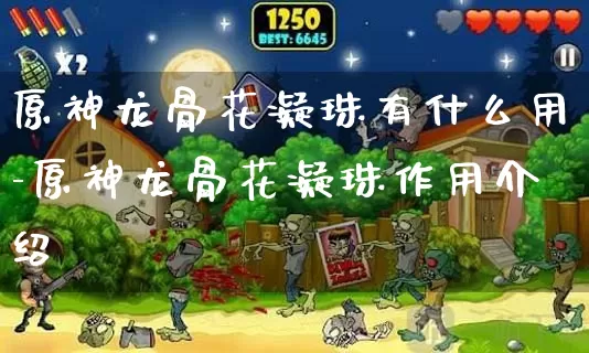 原神龙骨花凝珠有什么用-原神龙骨花凝珠作用介绍_https://www.cndog.com_游戏攻略_第1张